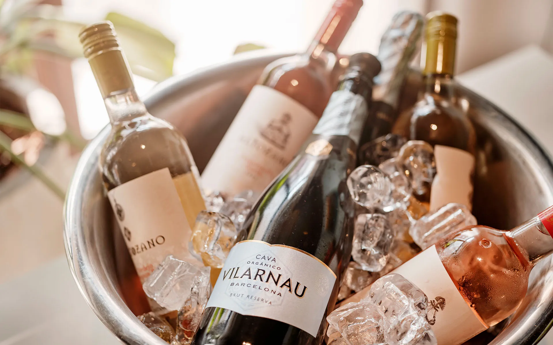 Banks Antwerp Aperitivo - Ontspannen dagelijkse borrel in huiskamer sfeer